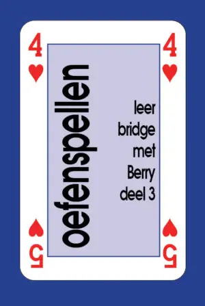 [68021] Oefenboekje Leer bridge met Berry 5 deel 3